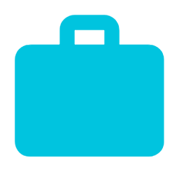 Briefcase custom